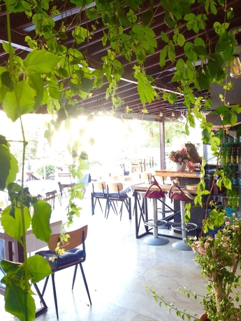 Imagen del bar/restaurante del Hotel Hani Boutique. Foto 5