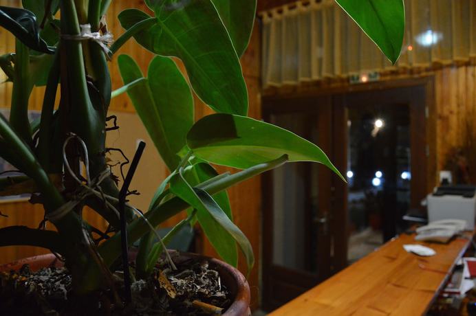 Imagen de los interiores del Hotel Hani Zisi. Foto 15