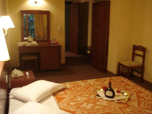 Imagen de la habitación del Hotel Hani Zisi. Foto 5