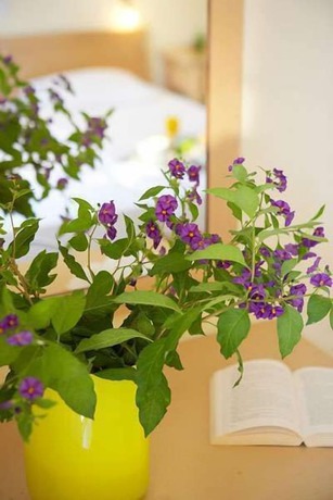 Imagen de los interiores del Hotel Hanioti. Foto 17