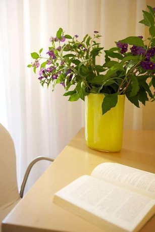 Imagen de los interiores del Hotel Hanioti. Foto 20