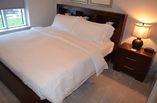 Imagen de la habitación del Hotel Hanover Post Oak. Foto 10