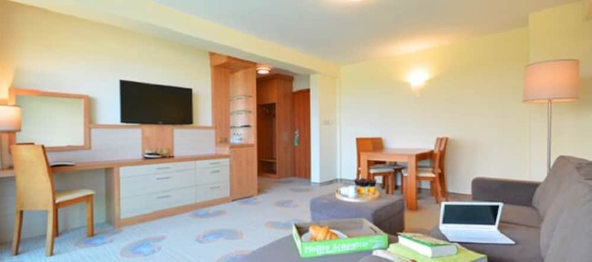 Imagen de la habitación del Hotel Hanseatic - Adults Only. Foto 17