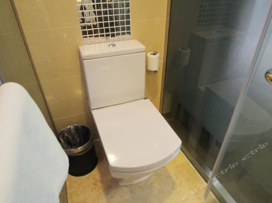 Imagen general del Hotel Hanting Premium Hotel (Shanghai Xinzhuang South Square). Foto 6