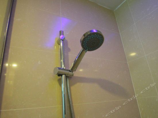Imagen general del Hotel Hanting Premium Hotel (Shanghai Xinzhuang South Square). Foto 10