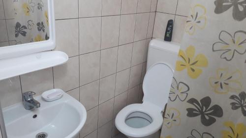 Imagen general del Hotel Hanul Lui Ionut. Foto 3