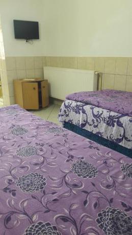Imagen general del Hotel Hanul Lui Ionut. Foto 4
