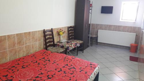 Imagen general del Hotel Hanul Lui Ionut. Foto 5