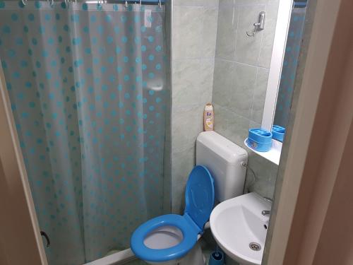 Imagen de la habitación del Hotel Hanul Lui Ionut. Foto 18