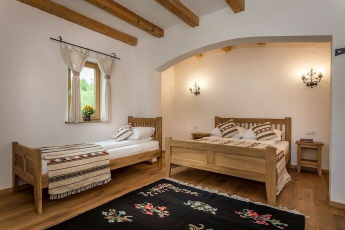 Imagen de la habitación del Hotel Hanul Vatra. Foto 19