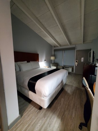 Imagen de la habitación del Hotel Happy Bay. Foto 15