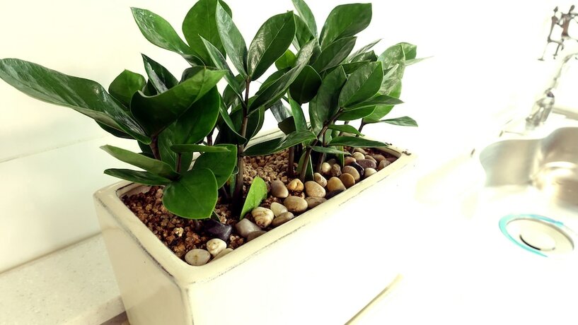 Imagen general del Hotel Happy Memory. Foto 7