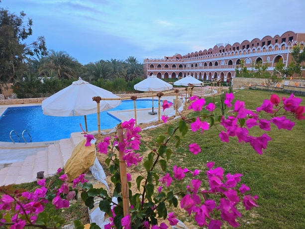 Imagen de la piscina del Hotel Happy Oasis. Foto 14