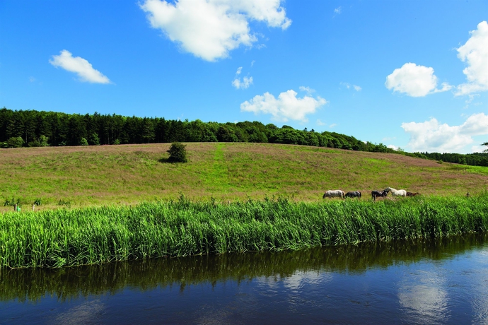 Imagen general del Hotel Haraldskær Sinatur and Konference. Foto 2