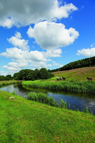 Imagen general del Hotel Haraldskær Sinatur and Konference. Foto 3