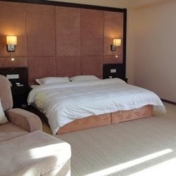 Imagen de la habitación del Hotel Harbin Feilong International Business Hotel. Foto 4