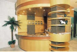 Imagen general del Hotel Harbor Hotel Regent Su&iacute;tes. Foto 6