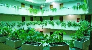 Imagen de los interiores del Hotel Harbor Self Inn Medianeira. Foto 18