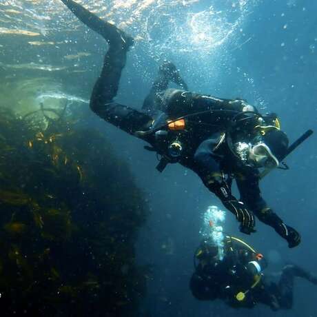 Imagen general del Hotel Harbour House, Castlegregory. Foto 8