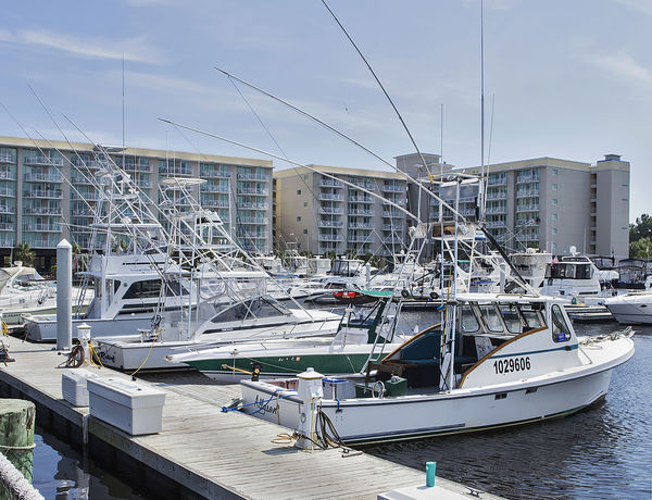 Imagen de los interiores del Hotel Harbourgate Marina Club. Foto 12