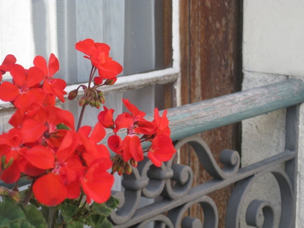 Imagen de los exteriores del Hotel Harder Minerva. Foto 15