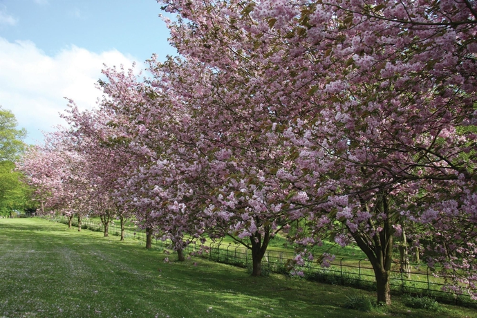 Imagen general del Hotel Hardwick Hall. Foto 9