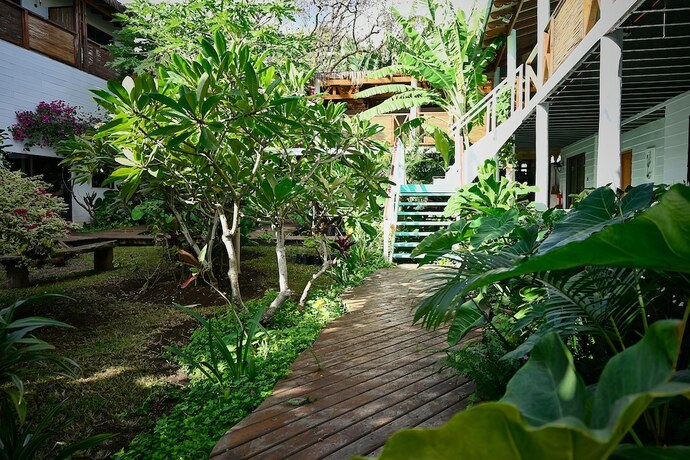 Imagen general del Hotel Hare Nua. Foto 4