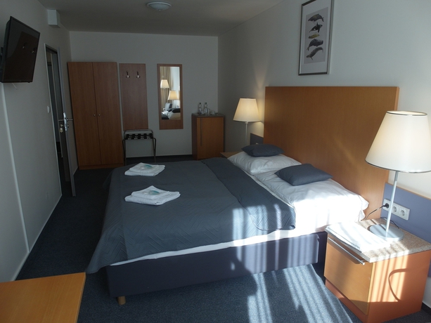 Imagen de la habitación del Hotel Harfa. Foto 7