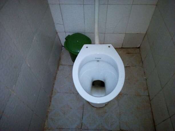 Imagen general del Hotel Haricot Guest House. Foto 4