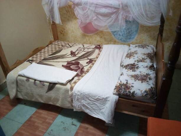 Imagen general del Hotel Haricot Guest House. Foto 5