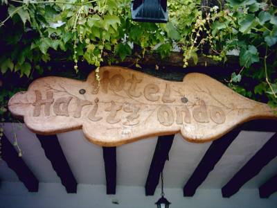 Imagen de los exteriores del Hotel Haritz-Ondo. Foto 5