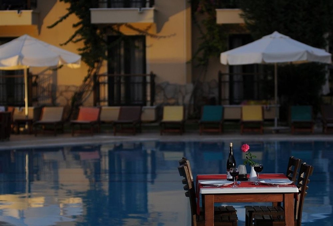 Imagen de la piscina del Hotel Harman. Foto 7