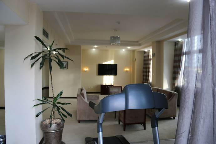 Imagen de la habitación del Hotel Harmony, Ad&iacute;s Abeba. Foto 12