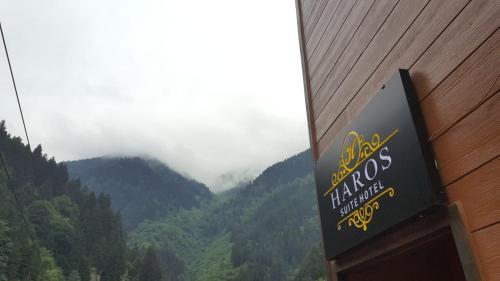 Imagen general del Hotel Haros Elite. Foto 3