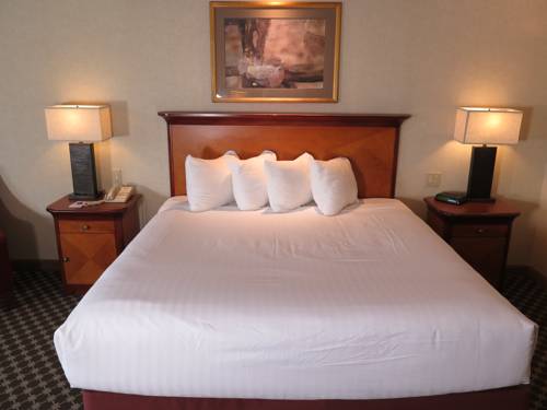 Imagen de la habitación del Hotel Harrah's Joliet Casino Hotel. Foto 4