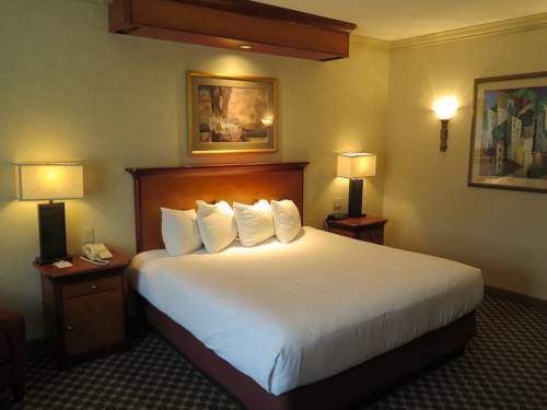 Imagen de la habitación del Hotel Harrah's Joliet Casino Hotel. Foto 7