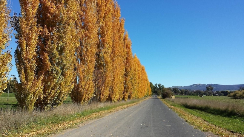 Imagen general del Hotel Harriet House Tumut. Foto 2