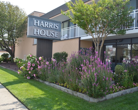 Imagen general del Hotel Harris House By The Beach. Foto 1