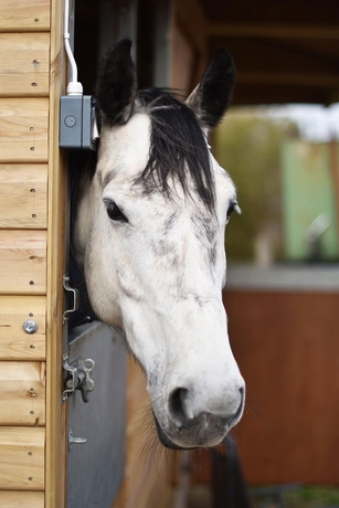 Imagen general del Hotel Harrogate Country B&B. Foto 2