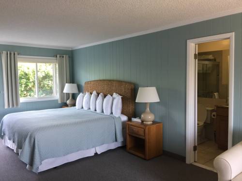 Imagen de la habitación del Hotel Hartman's Briney Breezes Beach Resort. Foto 6