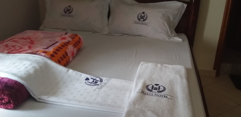 Imagen de la habitación del Hotel Harts Motel, Kampala. Foto 15