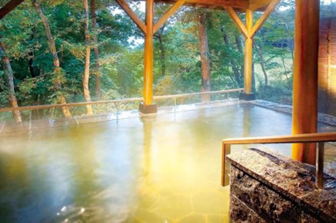 Imagen de la piscina del Hotel Harvest Nasu. Foto 17