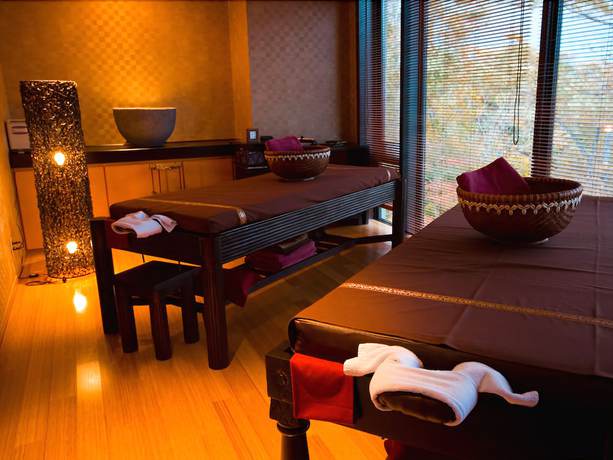 Imagen de los interiores del Hotel Harvest Nasu. Foto 13