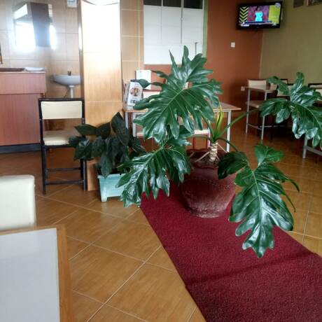 Imagen general del Hotel Harvester Restaurant. Foto 6