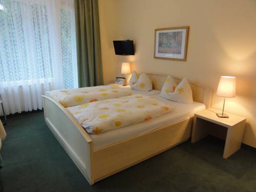 Imagen de la habitación del Hotel Harzidyll. Foto 16
