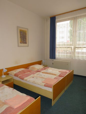 Imagen de la habitación del Hotel Hasa, Praga. Foto 15