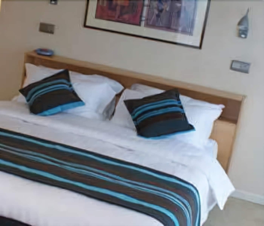 Imagen de la habitación del Hotel Hashotel. Foto 10