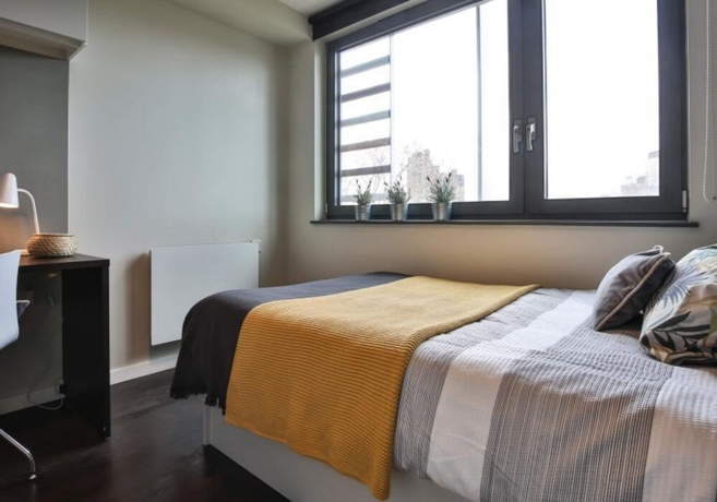 Imagen de la habitación del Hotel Hashtag South Bank Campus Accommodation. Foto 12