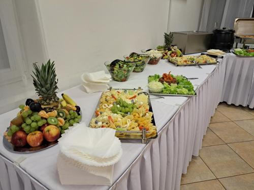 Imagen general del Hotel Hasičský hotel Přibyslav. Foto 4
