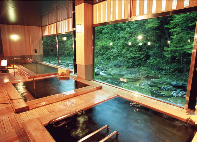 Imagen general del Hotel Hatago. Foto 2